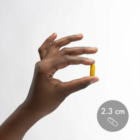 Dr. Mercola Curcumin Advanced avec un fond neutre