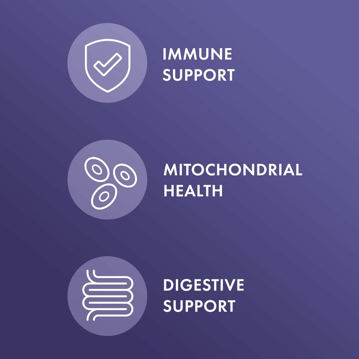 Dr. Mercola Enzymes Spectre Complet 90 Capsules - informations nutritionnelles