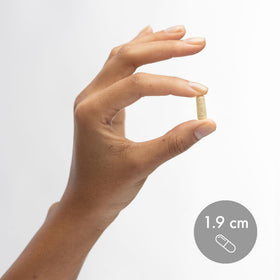 Dr. Mercola L-Theanine Plus GABA sur une table en bois
