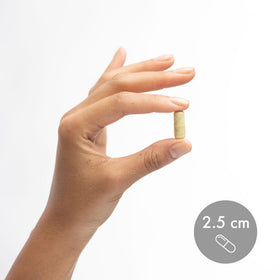 Dr. Mercola Quercetin & Pterostilbene 500 mg capsules on a table