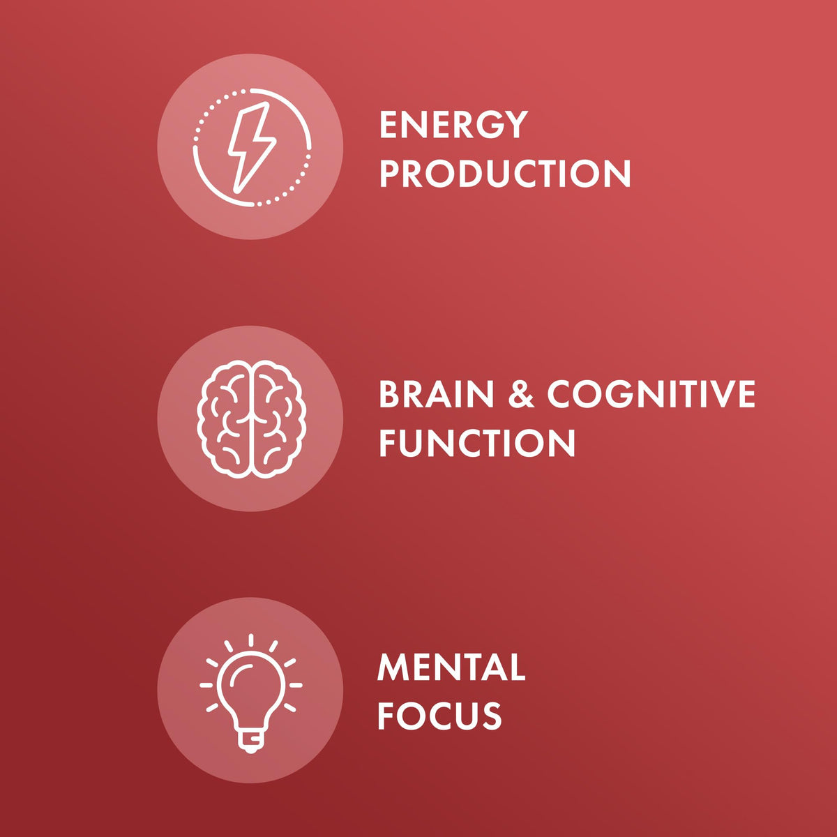 Dr. Mercola Vitamine B12 Methylcobalamine 30 comprimés sur une table