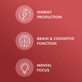 Dr. Mercola Vitamine B12 Methylcobalamine 30 comprimés sur une table