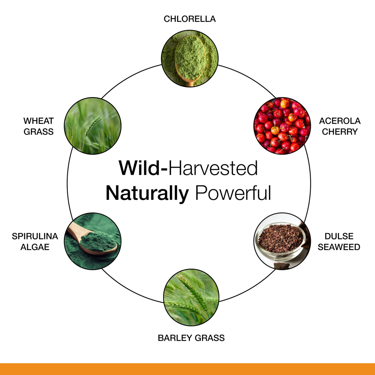 Dr. Schulze's SuperFood 100 complément alimentaire étiquette