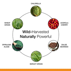 Dr. Schulze's SuperFood 100 complément alimentaire étiquette