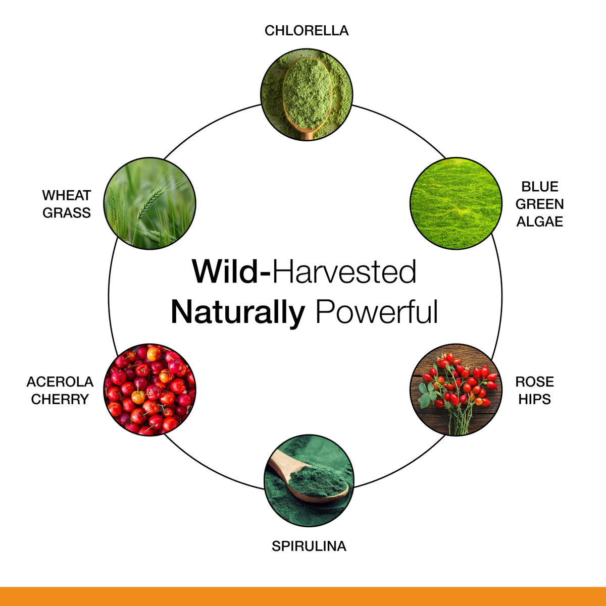 Dr. Schulze's SuperFood 100 complément alimentaire, présentation du format