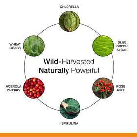 Dr. Schulze's SuperFood 100 complément alimentaire, présentation du format