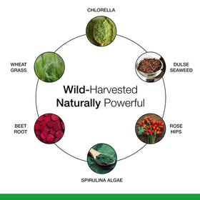 Dr. Schulze's SuperFood Plus, arrière de la boîte