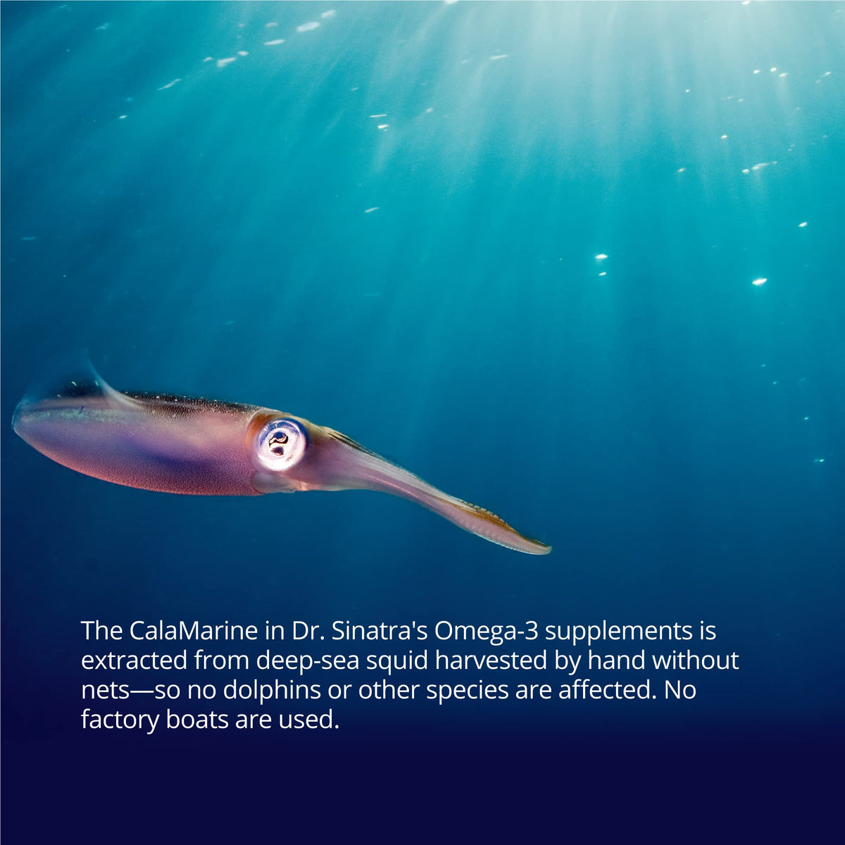 Dr. Sinatra Omega-3 CalaMarine 570mg DHA 330mg EPA sur une table