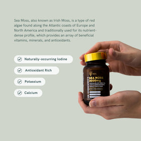 Dr Sosnowski's BioActive Sea Moss packaging side view