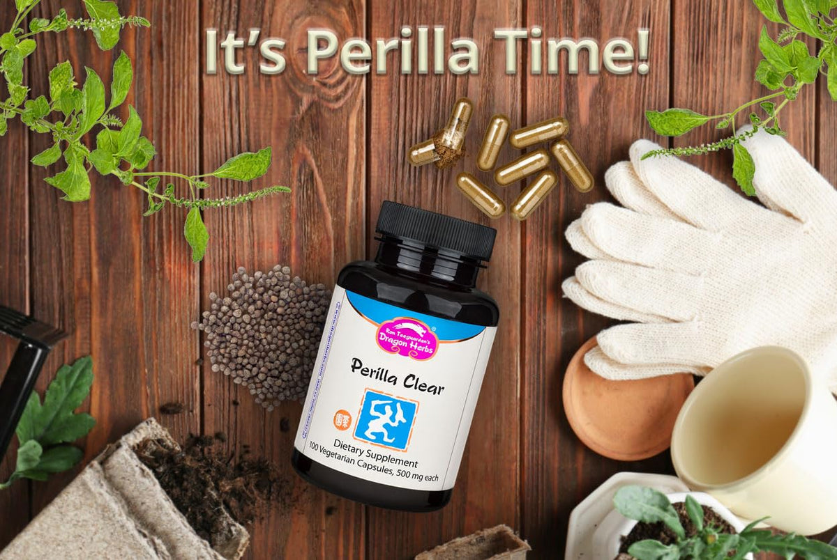 Dragon Herbs Perilla Clear Capsules 500 mg each side view