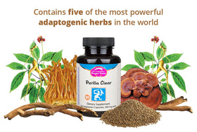Dragon Herbs Perilla Clear Capsules packaging image
