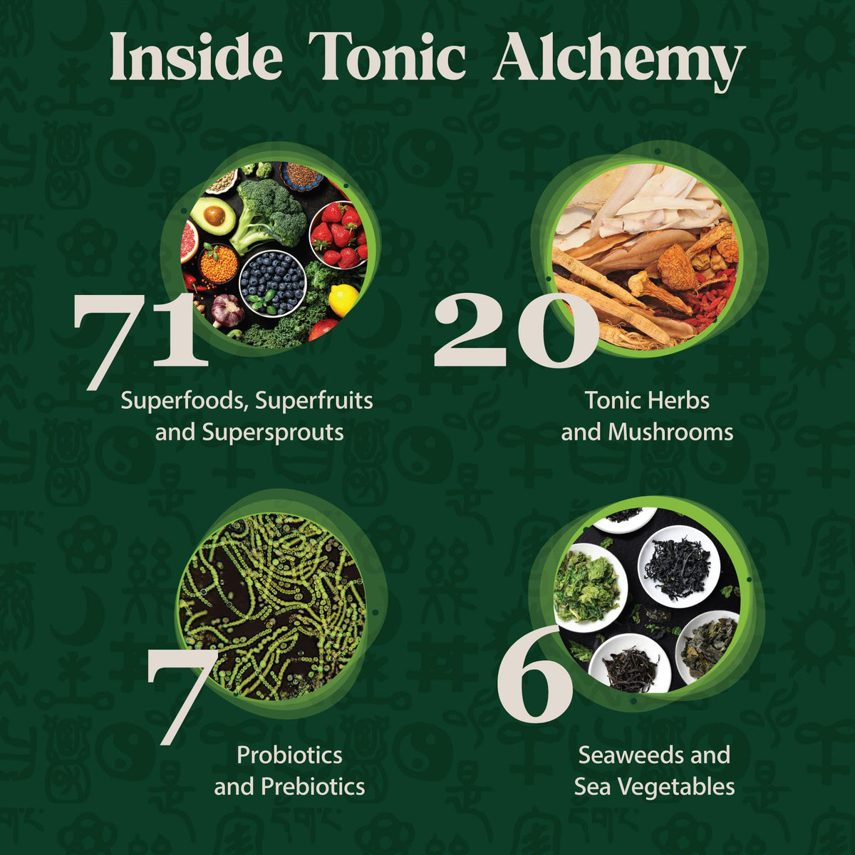 Dragon Herbs Tonic Alchemy Poudre de Super-aliments 358g en tasse avec lait d'amande
