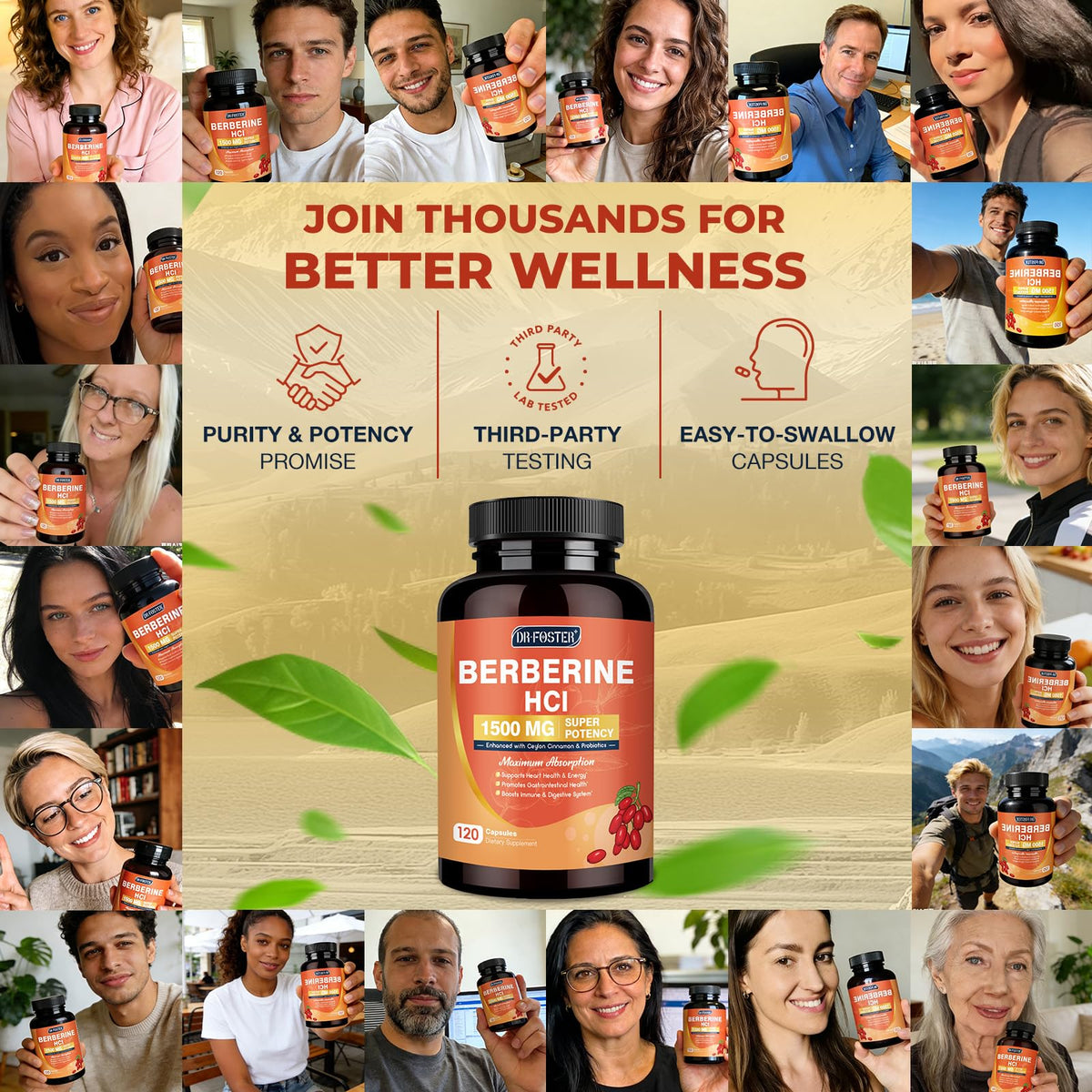 DRFOSTER Complément Alimentaire Berbérine HCl 1500mg avec capsules ouvertes