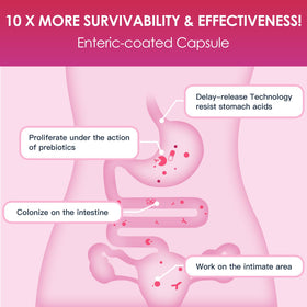DRFOSTER Probiotique Femme capsules sur une table
