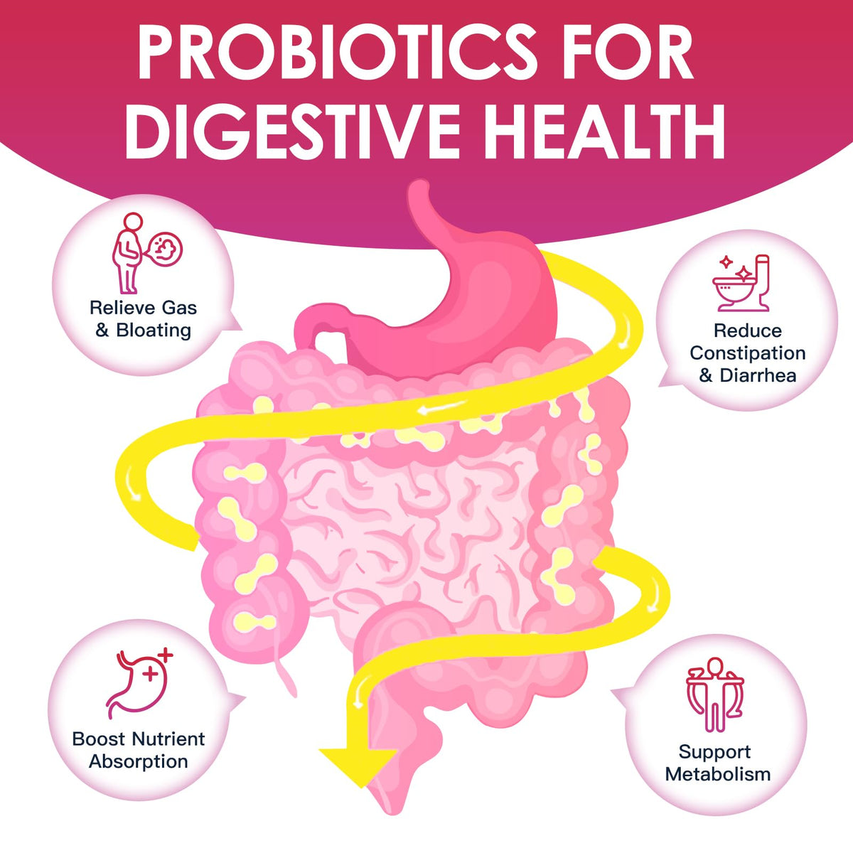 DRFOSTER Probiotique Femme ingrédients principaux