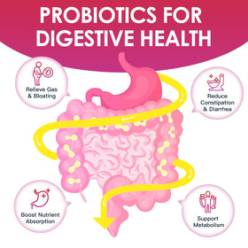DRFOSTER Probiotique Femme ingrédients principaux