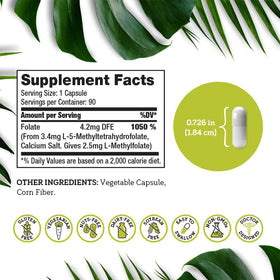DSO L Methylfolate 2,5 mg avec une plante verte en arrière-plan