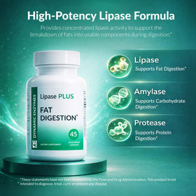 Dynamic Enzymes Lipase Plus étiquette de produit