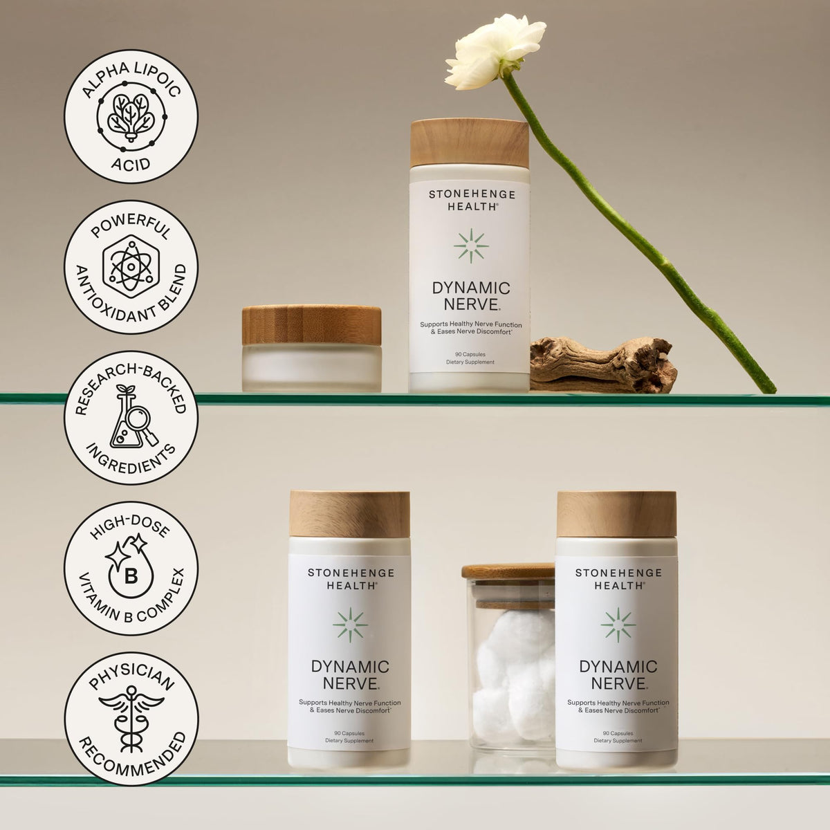 Dynamic Nerve® de Stonehenge Health, image de la composition des capsules
