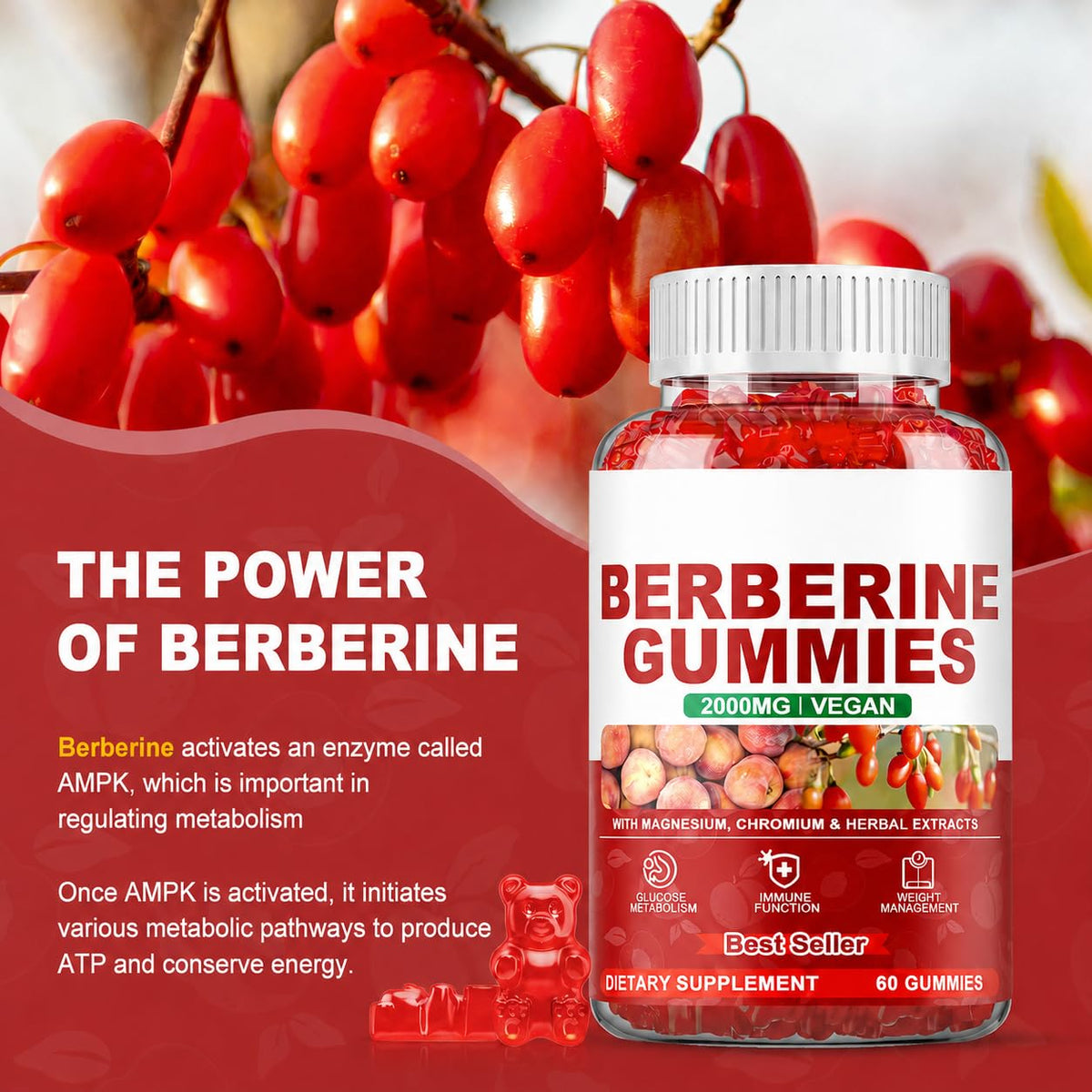 Dytiva Bloom Gummies Berberine 2000mg vue de face, étiquette claire