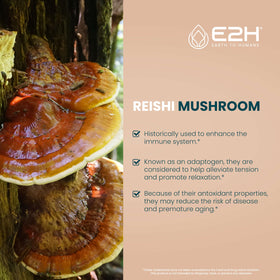 E2H Complément Alimentaire Champignon Reishi 60 ml côté