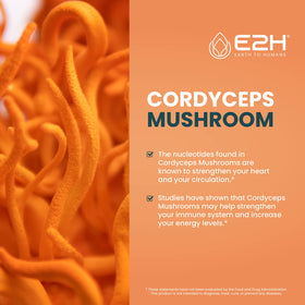 E2H Cordyceps Complément Alimentaire 60 ml - étiquette