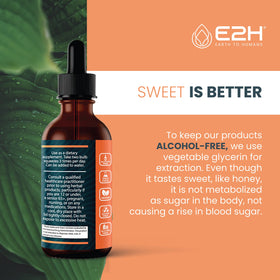 E2H Cordyceps Complément Alimentaire 60 ml - texture liquide