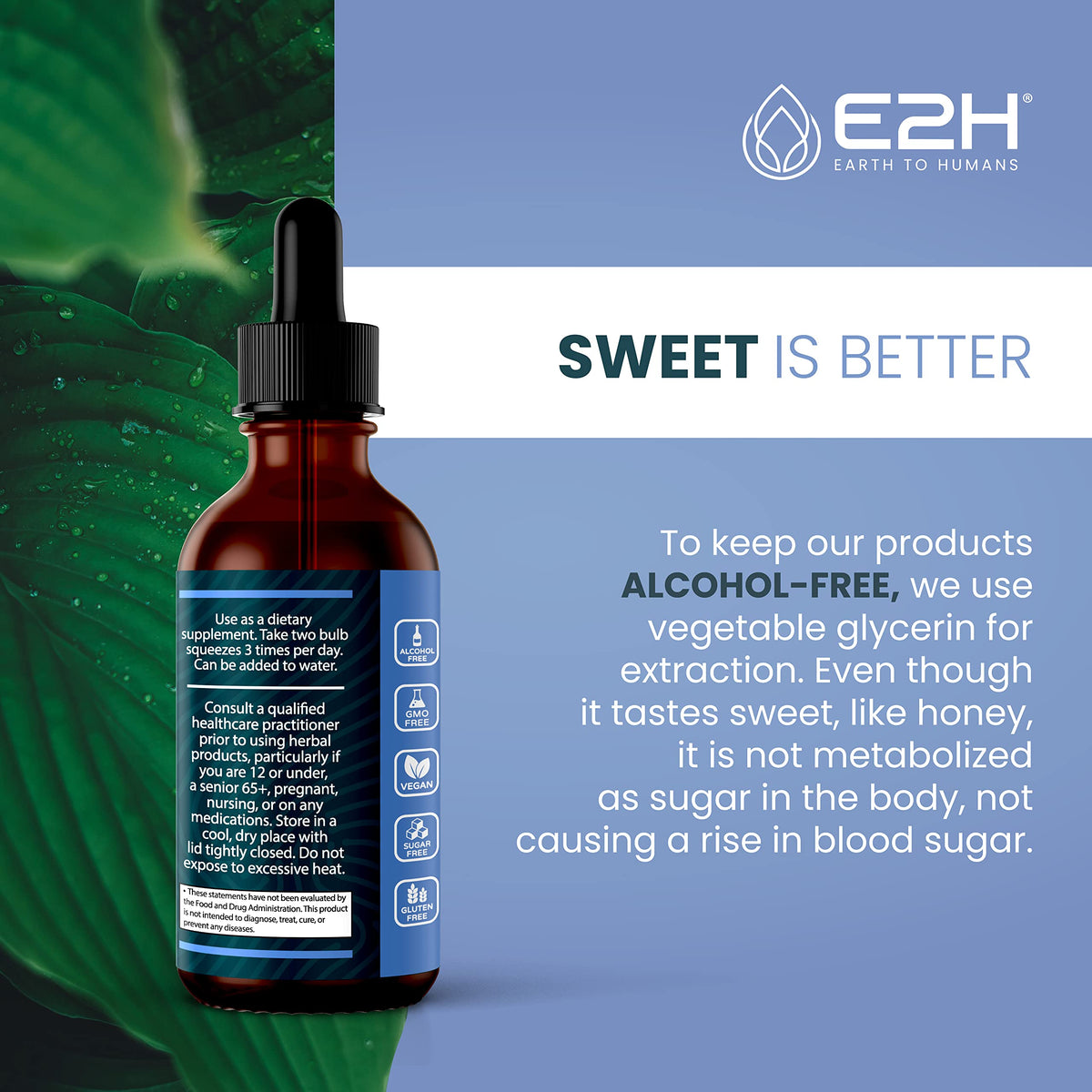 E2H Extrait de Cassis Naturel avec des fruits de cassis frais