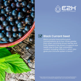 E2H Extrait de Cassis Naturel bouteille ouverte avec pipette