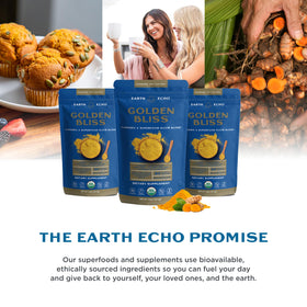 Earth Echo Golden Bliss lait d'or bio au curcuma et gingembre - utilisation en pâtisserie
