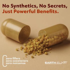 Earth Elixir Pollen d'Abeille 3-en-1 capsules dans un environnement naturel