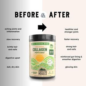 Earth Fed Muscle Collagen Peptides 558g in a coffee
