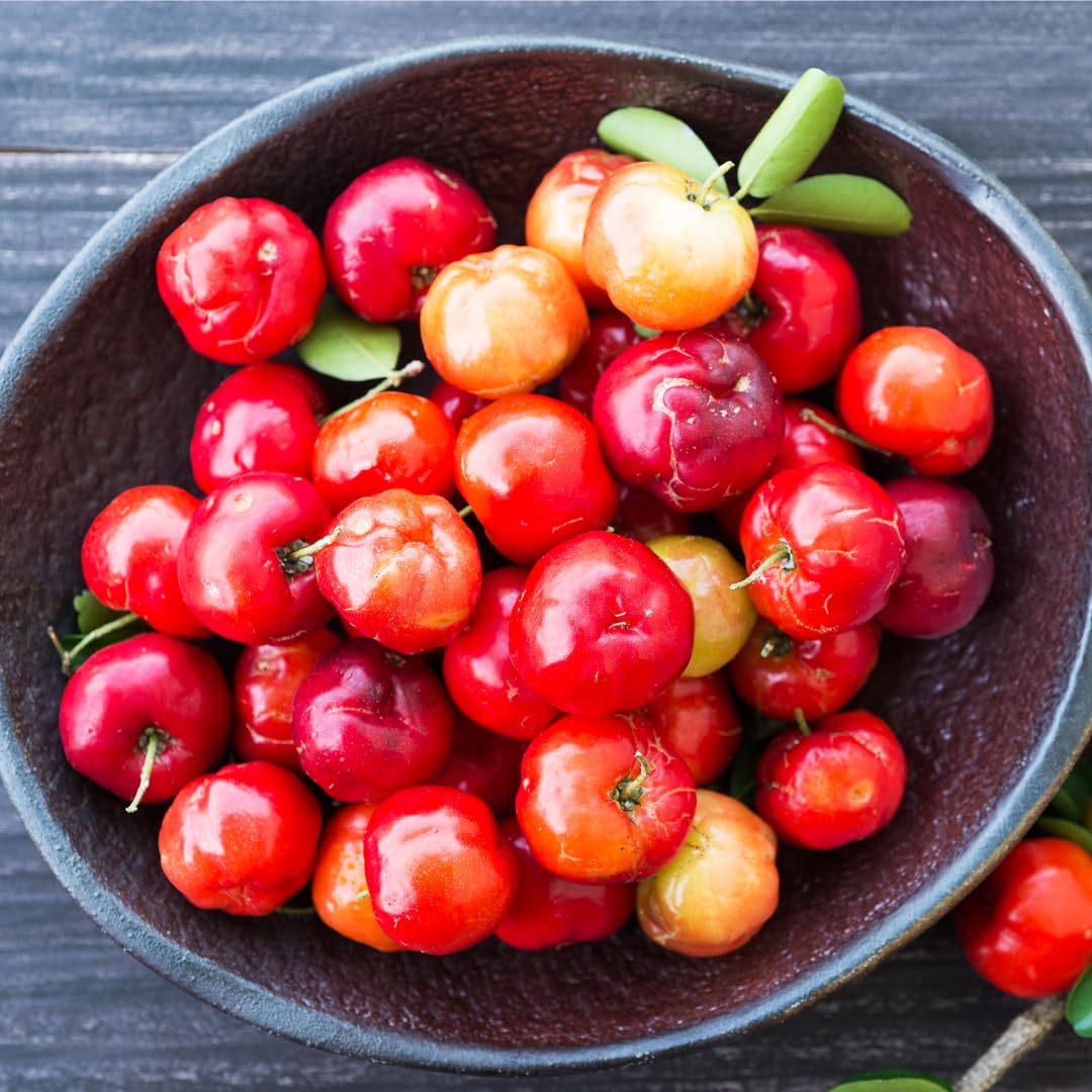 Earthborn Elements Cerise Acerola avec fruits d'acerola