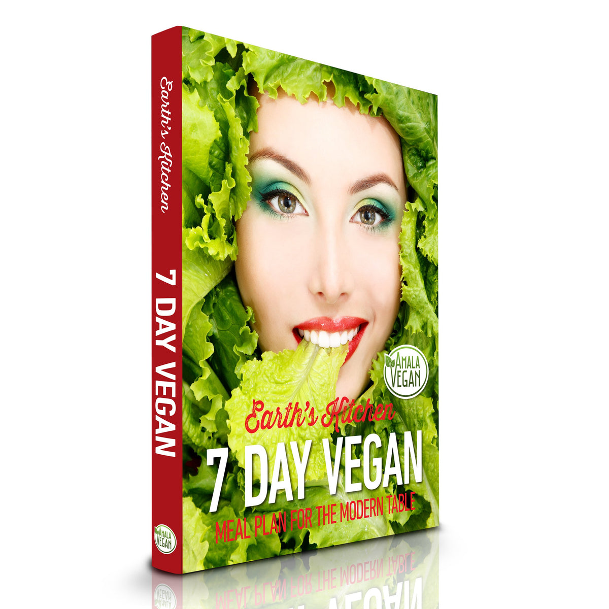 Ebook Plan de Repas Végétalien de 7 Jours offert avec le produit