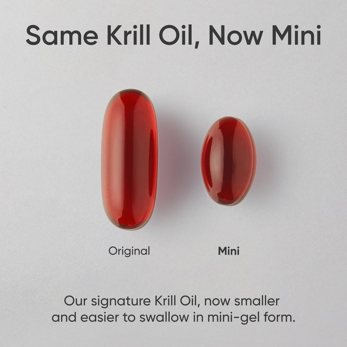Échantillon de gélules de krill de Sports Research