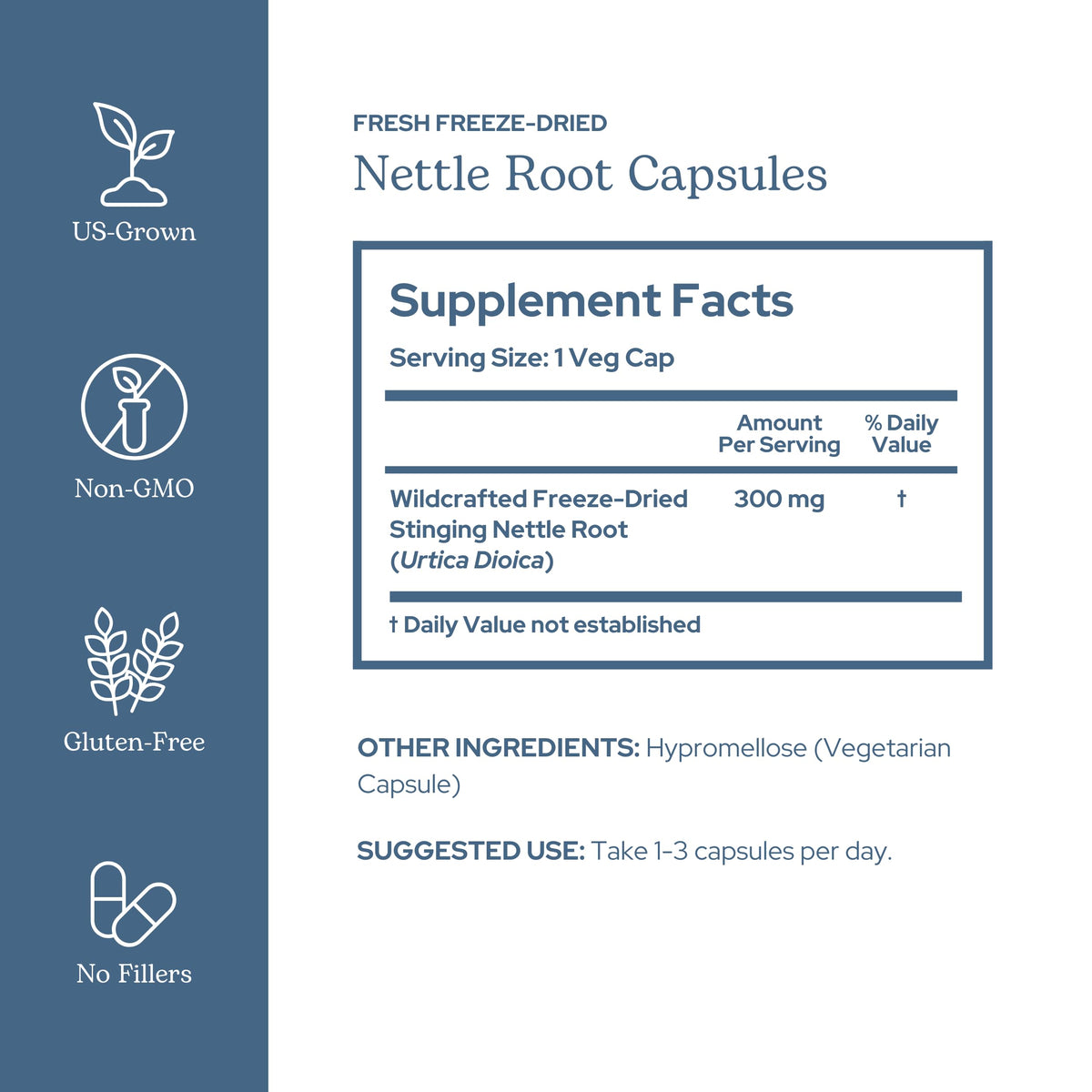 ECLECTIC INSTITUTE capsules de racine d'ortie 250 mg emballage