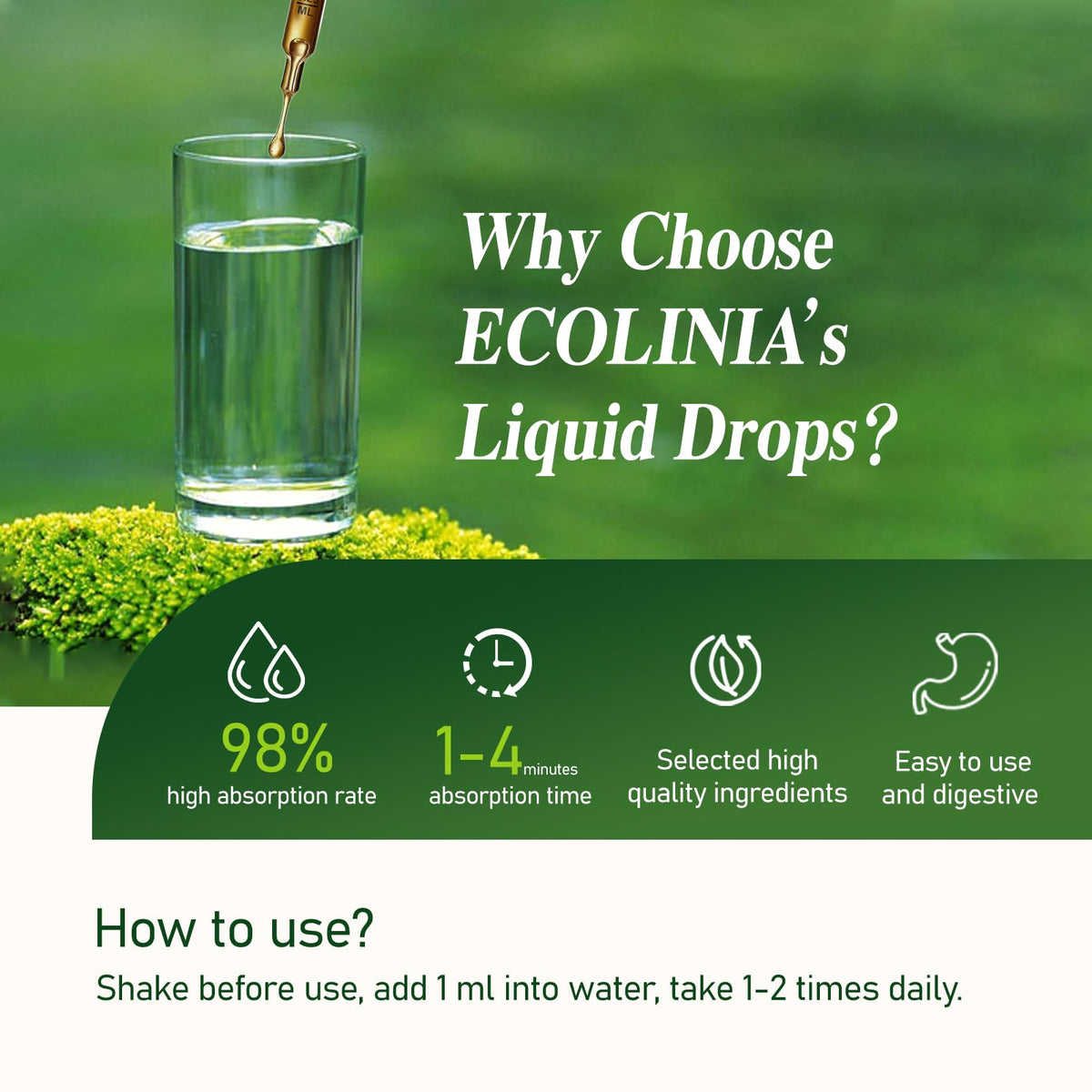 ECOLINIA Gouttes Chanca Piedra dans un verre d'eau