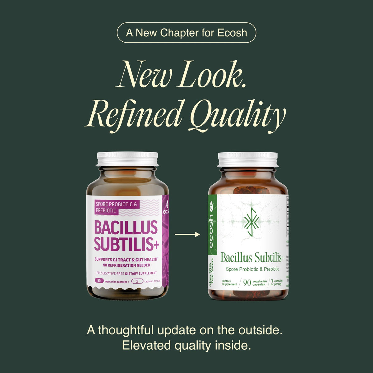 Ecosh Bacillus Subtilis complément alimentaire en poudre