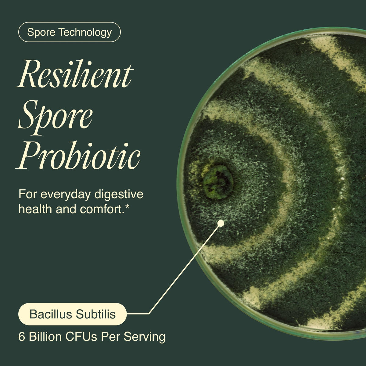 Ecosh complément probiotique Bacillus Subtilis avec prébiotiques