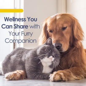 EESY PET Omega-3 capsules avec un chien et un chat
