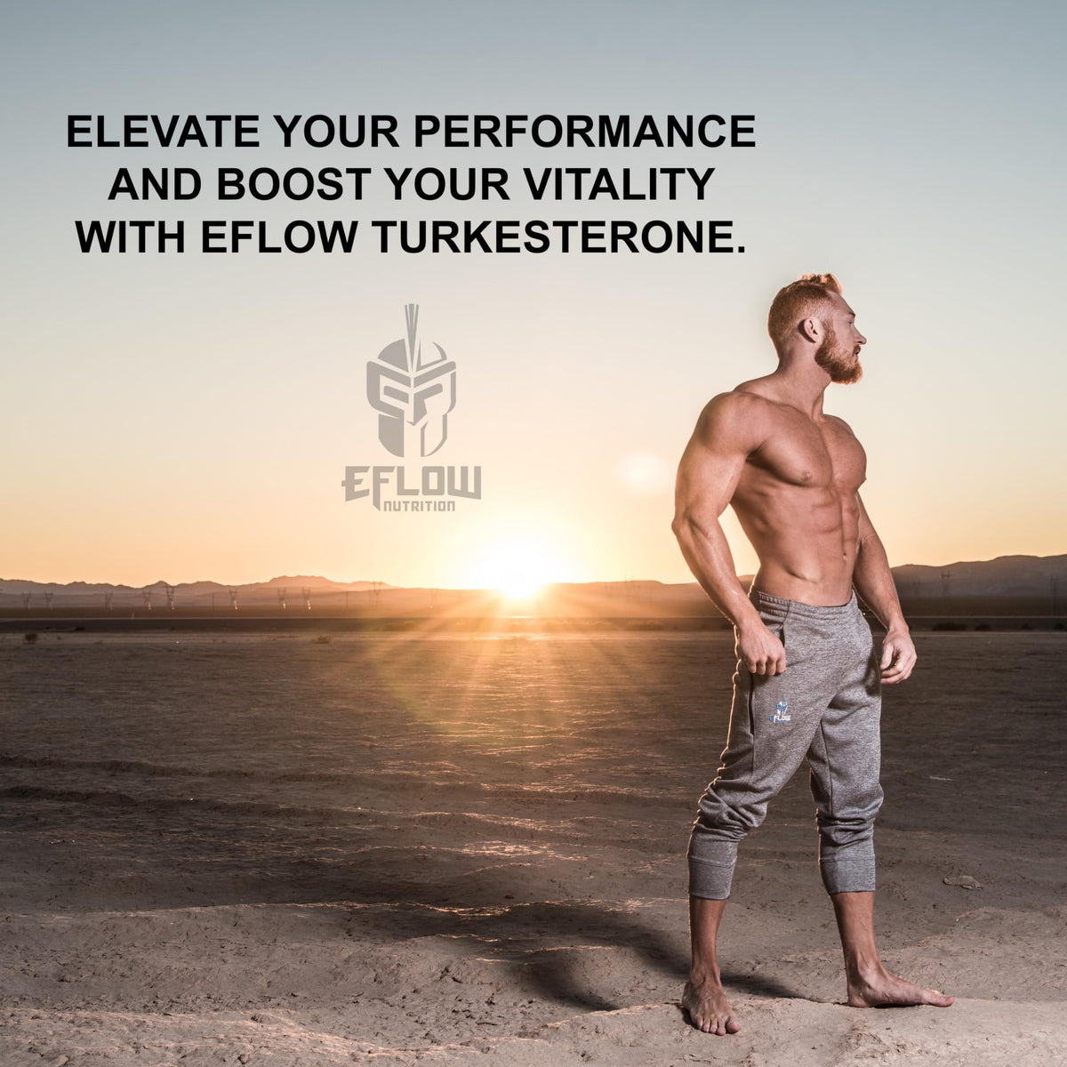 eFlow Nutrition Turkesterone 60 capsules - illustration des ingrédients