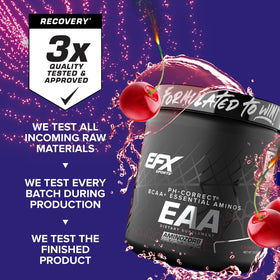 EFX Sports Training Ground EAA, détails des ingrédients sur l'emballage