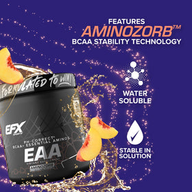 EFX Sports Training Ground EAA prise en main