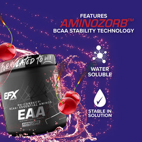EFX Sports Training Ground EAA, vue arrière de l'emballage