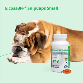Eicosa3FF SnipCaps Omega 3 capsules, mise en scène sur une table