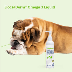 EicosaDerm Omega 3 Liquide pour Chiens et Chats, utilisation avec un chien