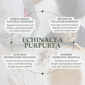 Elanen Naturals Echinacea Purpurea 113 g emballage arrière