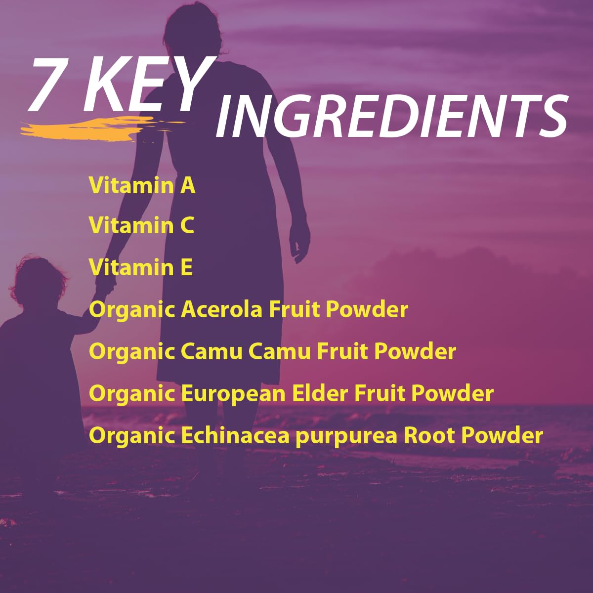 Elderberry Queen Vitamine C 500mg - vue arrière de l'emballage