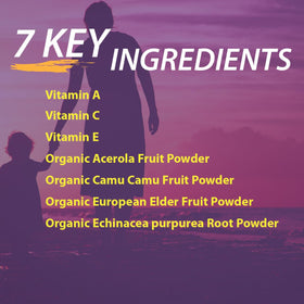 Elderberry Queen Vitamine C 500mg - vue arrière de l'emballage