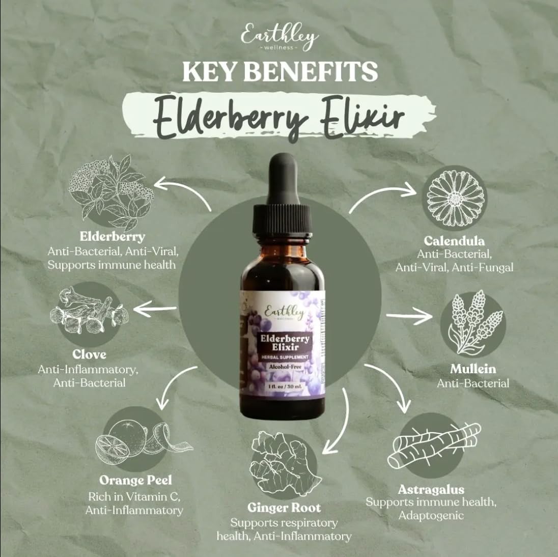 Élixir de Sureau Earthley Wellness avec étiquetage et dosage